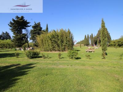 MAS DE CHARME avec 6 hectares de terres Saint Remy De Provence