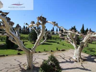 MAS DE CHARME avec 6 hectares de terres Saint Remy De Provence