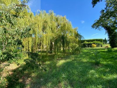 Mas restauré, 4 chambres, Piscine, en campagne à Saint Remy De Provence