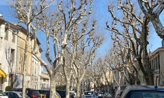  Saint Remy De Provence