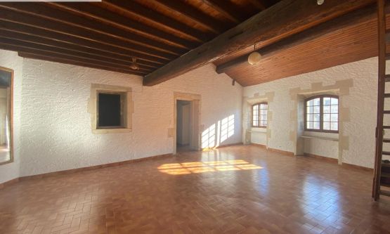 GRAND APPARTEMENT à ST REMY DE PROVENCE